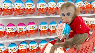 Monkey Baby Bim Bim doing shopping in Kinder Joy Egg store and eat chocolate with puppy