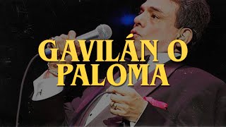 José José - Gavilán o Paloma (Letra)