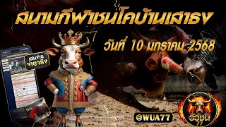 #ถ่ายทอดสดวัวชนวันนี้ สนามชนโคบ้านเสาธง วันที่ 10 ธันวาคม 2567   #วัวชน #สด  #วัวชนวันนี้ #วัวชนสด