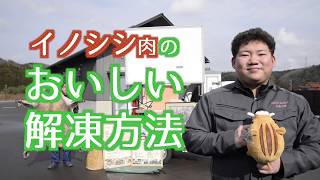 【家庭でジビエ豆知識 ②/03】イノシシ肉のおいしい解凍方法（ジビエアトリエ）【#こまつ地美絵】