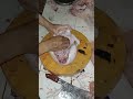 Skills potong#carapotong #cuttingskills #cuttingchicken #butcher #shortsvideo