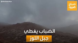 بتقنية \