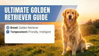 Golden Retriever — Complete Dog Breed Guide (Everything You Need to Know) | 2026