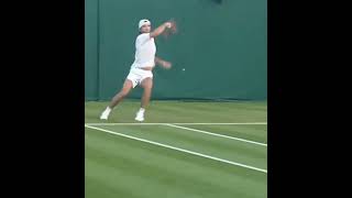 Tomasz Machac's Forehand Beauty #atp #tennis #forehand