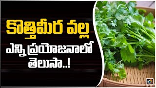 కొత్తిమీర వల్ల ఎన్ని ప్రయోజనాలో తెలుసా  | Health Benifits On Eating Coriander  leaves | 10TV