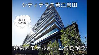 【シティテラス若江岩田】建物内モデルルームのご紹介（439号室） 　 住友不動産のマンション