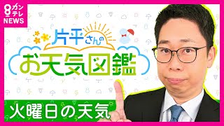 【1/21(火)の天気】今週は穏やか　あすも気温高め〈カンテレ・片平さんの天気予報〉