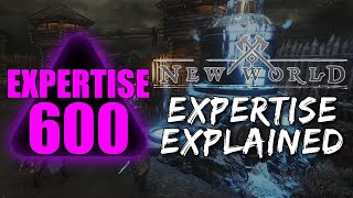 How Does Expertise Work in New World?!