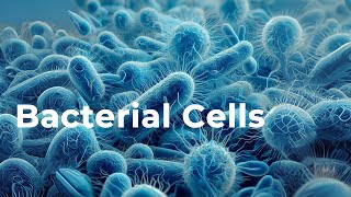 Grade-10 #Bacterial cells