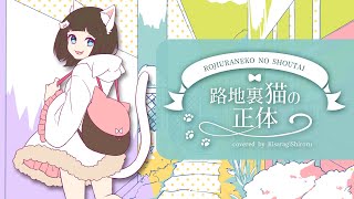 【 如月白涙 】 路地裏猫の正体  / 歌ってみた