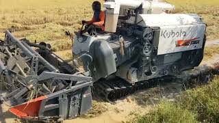 Kubota harvests rice and  a good driver.