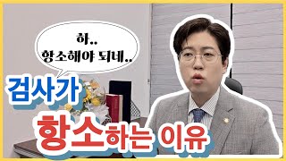 검사는 어떨 때 항소할까