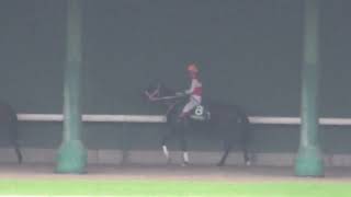 【クセつよ】池添謙一 ショウナンザナドゥとスタート前まで綱引き 現地映像