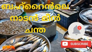 Evening Fresh Fish Market || ബഹ്റൈൻലെ നാടൻ മീൻ ചന്ത