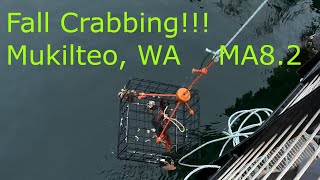 Fall Dungeness and Rock Crab fishing at Mukilteo MA8.2 Puget Sound Washington