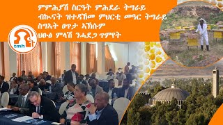 ነጋሪት ዜና - TMH | 021424 ምዕራይ ምሕደራ ትግራይ፣ስግኣት ፀጥታ ኣኽሱም፤መዓር ትግራይ ሎሚ