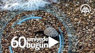 60 saniyede bugün (22 Temmuz 2020)