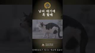 ☯ 남의 얘기에 혹할때 / 귀가 얇은 사람 #shorts #short