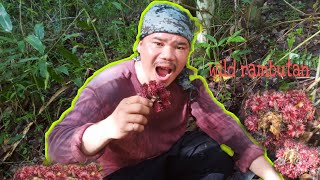 Wild Rambutan | Fruit