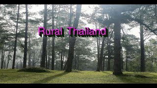 Hiking the most beautiful forests in countryside Thailand