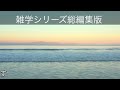 【睡眠導入】たんたんと雑学（雑学シリーズ総編集 75）【朗読・作業用・睡眠用bgm・聞き流し・リラックス・不眠症対策 トリビア・豆知識・小話・うんちく】毎日21時に更新中！