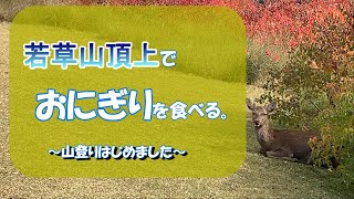 【登山】絶景と鹿とおにぎりと秋の若草山。