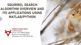 SQUIRREL SEARCH ALGORITHM,OVERVIEW AND ITS APPLICATIONS USING MATLAB-PYTHON