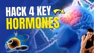 4 घंटे का काम 1 घंटे में | How to Leverage 4 Key Hormones to Skyrocket ,, The knowledge Tv