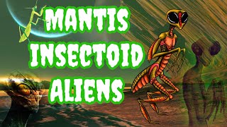 The Mantis Insectoid Extraterrestrial Species. Who Are These Bug Like ETs? #mantis #bugs #alien #bug