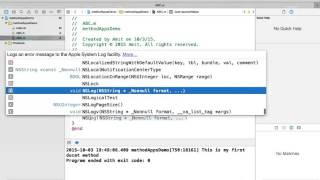 Objective-c Method Declaration