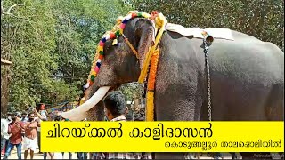 Chirakkal Kalidasan, Kodungallur Thalappoli 2022, Kodungallur Temple,  ചിറയ്ക്കല്‍ കാളിദാസന്‍