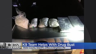 K9 Viper Helps Find $95K In Meth And Cocaine During Traffic Stop In Brighton