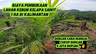 BIAYA PEMBUKAAN LAHAN KEBUN KELAPA SAWIT 1 HA DI KALIMANTAN DENGAN CARA MANUAL#petanisawitindonesia