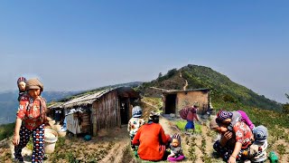 Unseen Very Beautiful Nepali Mountain Village Lifestyle || Nepali Village Activities || Db Limbu