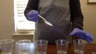 Recording Exploring Density Lab