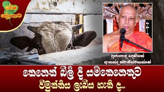 Ven Denike Ananda Thero |2024-05-26 | 12.30 PM (කෙනෙක් බිලි දී යම්කෙනෙකුට විමුක්තිය ලැබිය හැකිද‍...)