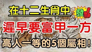 要發了！十二生肖中即將富甲一方，高人一等的五個屬相！ 20年難遇一個【佛之緣】