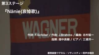 『Nänie（哀悼歌）』（第109回定期演奏会）