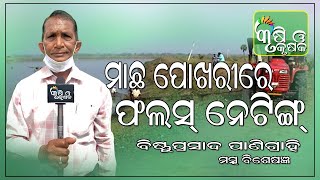 ମାଛ ପୋଖରୀରେ ଫଲ୍ସ ନେଟିଙ୍ଗ