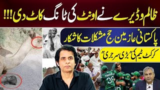 Sanghar Camel Incident || Hajj And Problems Of Pakistanis | Surgery In Cricket T