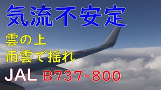 雲の上を飛行＆着陸体制アナウンス／JAL667大分空港→羽田空港