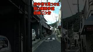 【日本有数】短い横断歩道【広島県府中市】