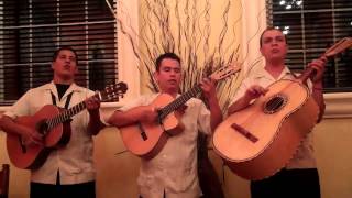 Sin Ti de Los Panchos interpretada por el Trio Los Amigos de New Mexico