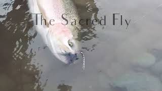 FLY TYING - The BEST “Go To” Year Round Steelhead Fly (The Sacred Fly!)