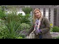 katie rushworth well being garden at tong garden centre