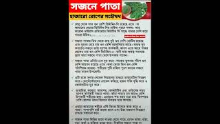 💥সুপার ফুড সজনে পাতা..!জানেন কি এর হাজারো উপকারিতা!sasthotips#healthtipsinbangla #shorts