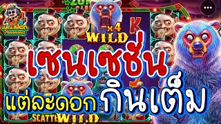 (เกมส์หมีกินสมองPP) แต่ละดอกกินเต็มๆ (Zombie Carnival│สล็อตค่าย PP)(Pragmatic Play)