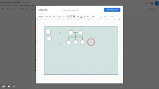 Creating a Pedigree on DOCS - Google Docs