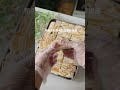 免烤箱自製年貨零食🥭大人小孩都愛吃的香甜軟糯芒果奶糕 mango milk cake homemade recipe snacks 2024 newyear cooking 食譜