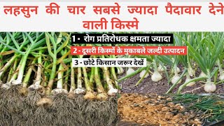 लहसुन की चार सबसे ज्यादा पैदावार देने वाली किस्में ,#lahsun ke top 4 hybrid seeds india #lahsunaajka